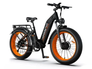 h2 proorange.webp